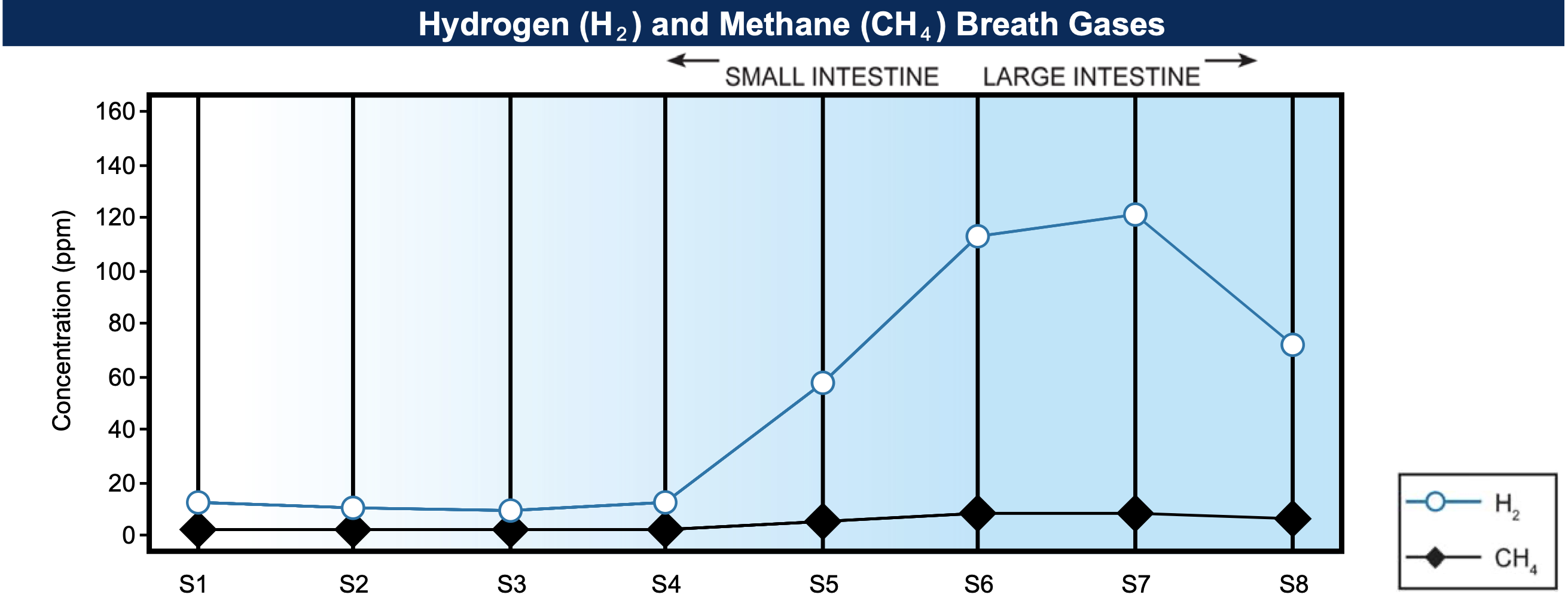 Constant Burping Is A Sign Of This Harmful Bacterial Overgrowth